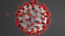 Foto ilustrando el virus del COVID-19.